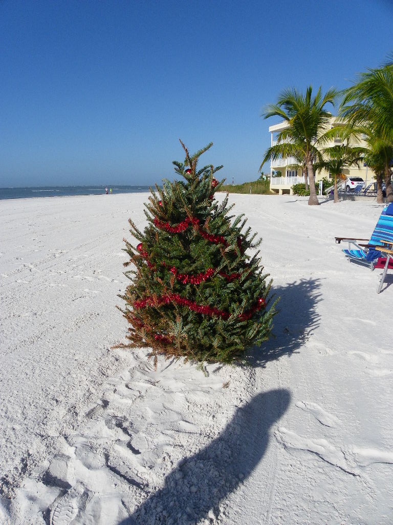 Christmas on the beach. Perfect