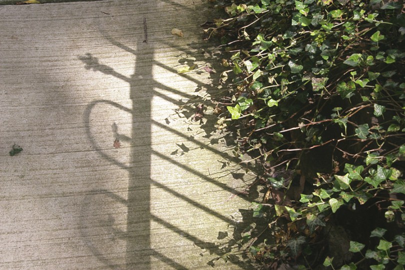 Weekly Photo Challenge: The Golden Hour