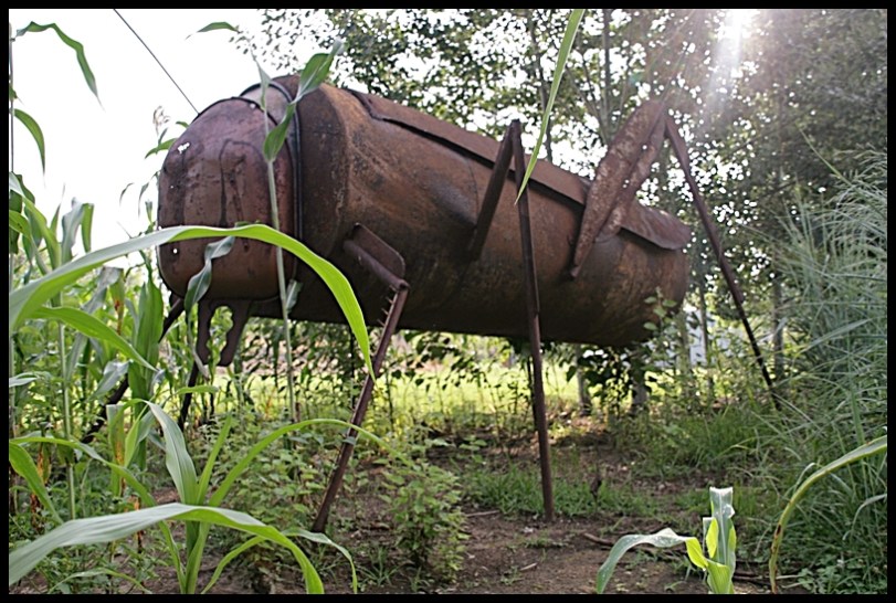 Giant Grasshopper sculpture at UT Gardens
