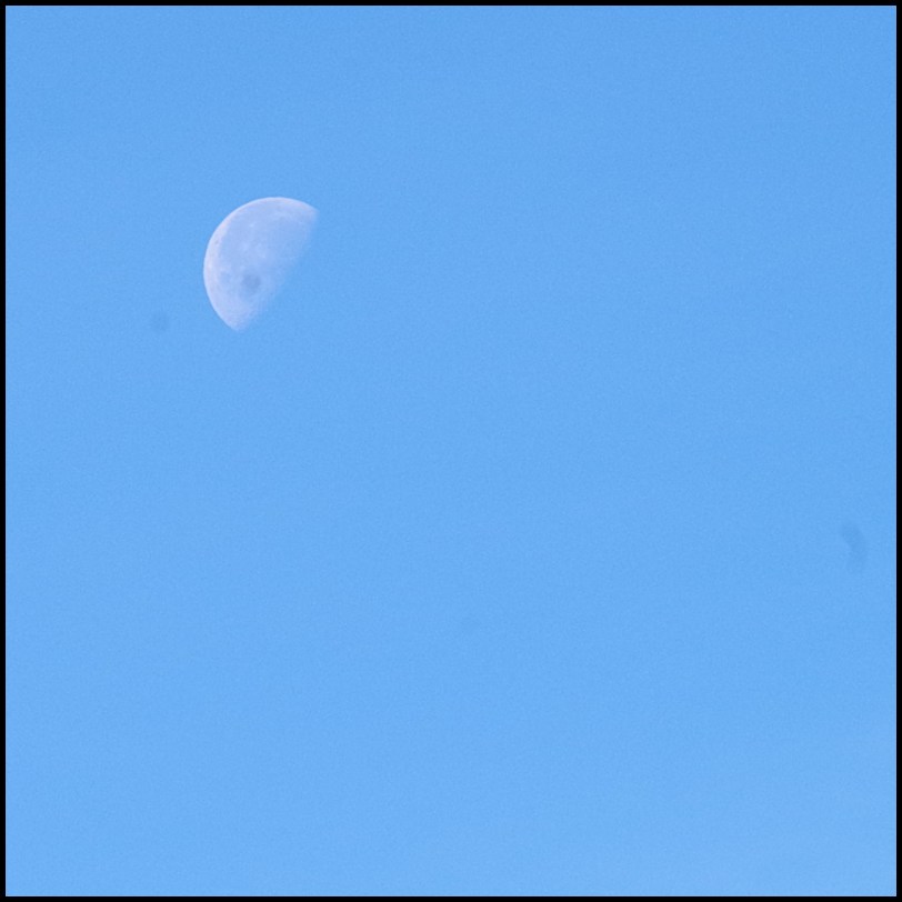 Unexpected moon at 10:30 in the morning.