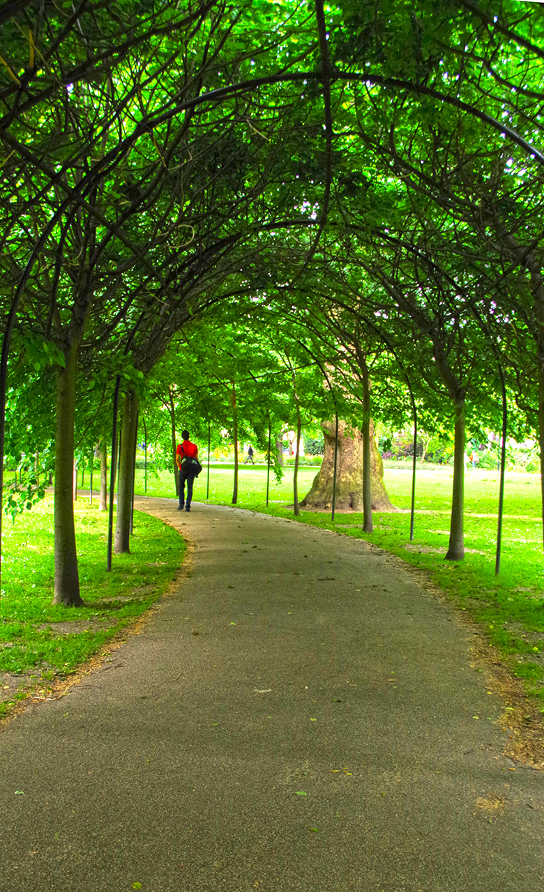 Walking through an arbor in London.