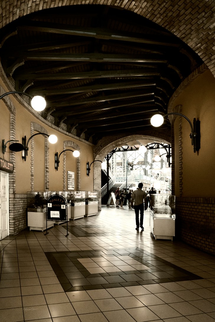 © Sharon Popek 2017